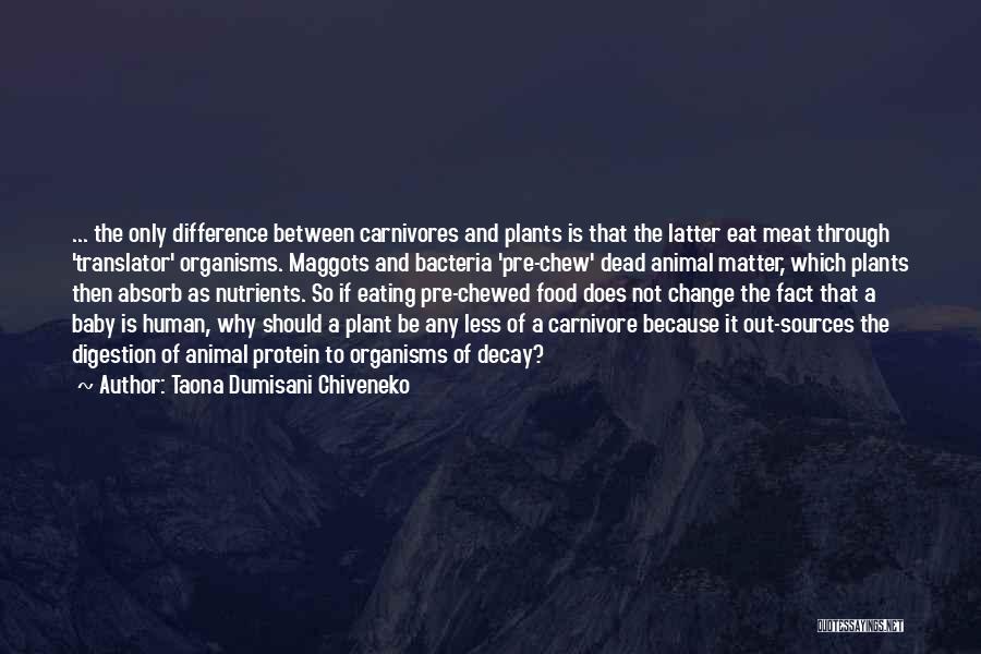 Taona Dumisani Chiveneko Quotes: ... The Only Difference Between Carnivores And Plants Is That The Latter Eat Meat Through 'translator' Organisms. Maggots And Bacteria