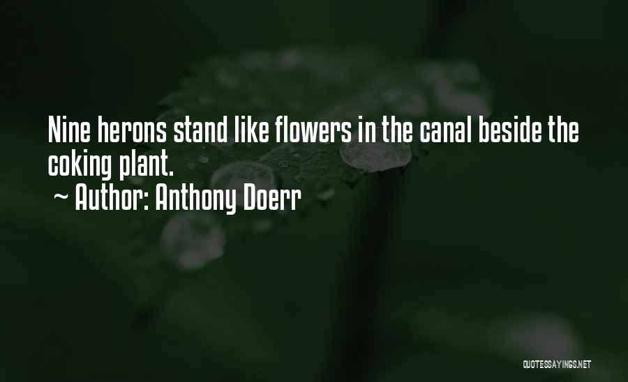 Anthony Doerr Quotes: Nine Herons Stand Like Flowers In The Canal Beside The Coking Plant.