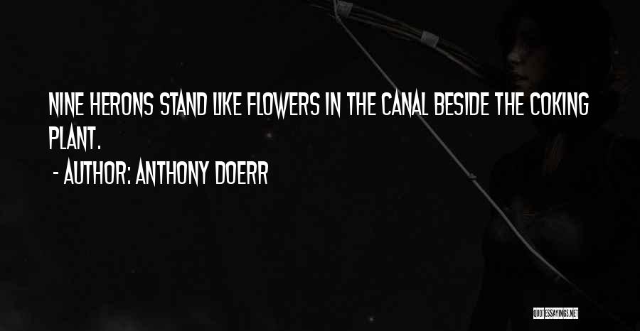 Anthony Doerr Quotes: Nine Herons Stand Like Flowers In The Canal Beside The Coking Plant.