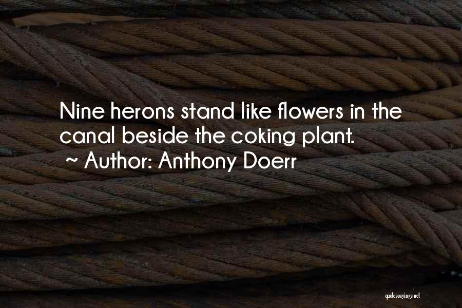 Anthony Doerr Quotes: Nine Herons Stand Like Flowers In The Canal Beside The Coking Plant.