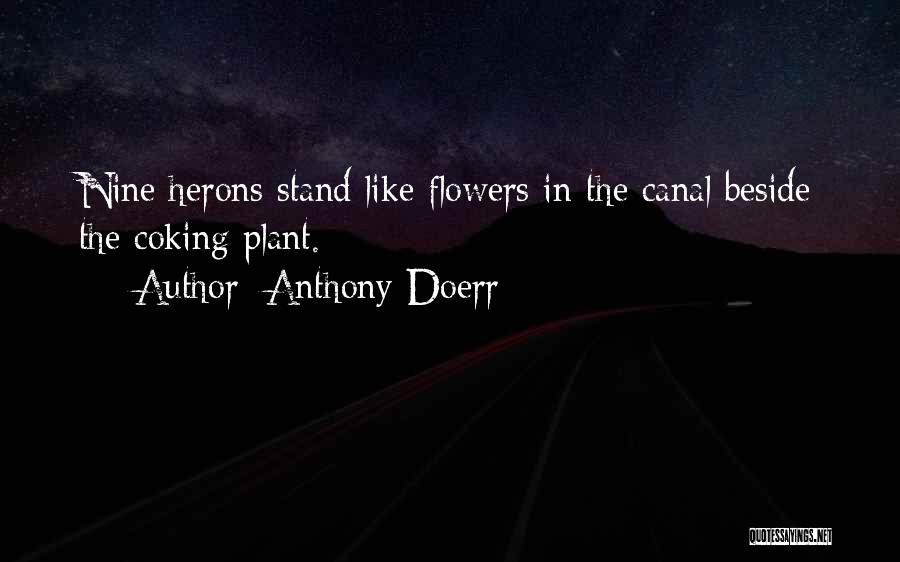 Anthony Doerr Quotes: Nine Herons Stand Like Flowers In The Canal Beside The Coking Plant.