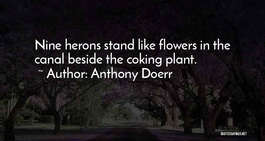 Anthony Doerr Quotes: Nine Herons Stand Like Flowers In The Canal Beside The Coking Plant.