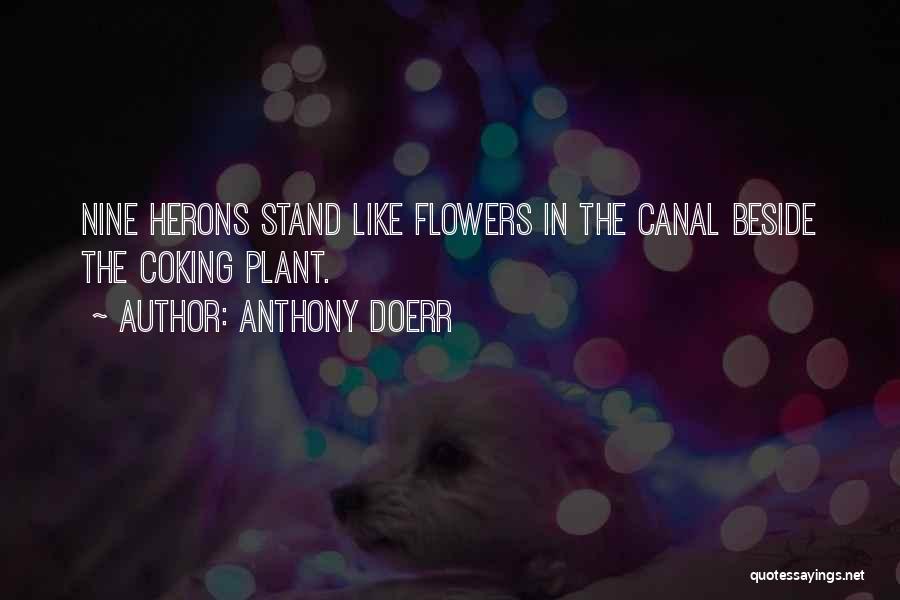 Anthony Doerr Quotes: Nine Herons Stand Like Flowers In The Canal Beside The Coking Plant.