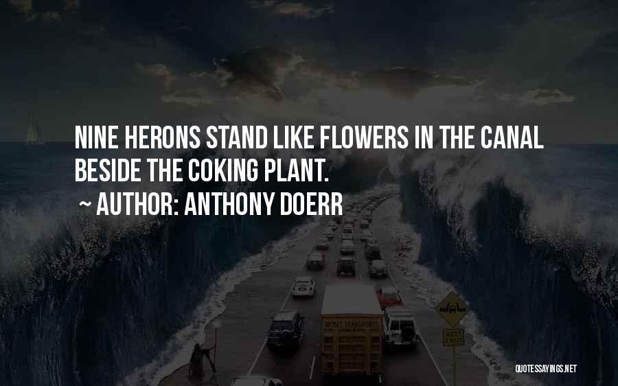 Anthony Doerr Quotes: Nine Herons Stand Like Flowers In The Canal Beside The Coking Plant.