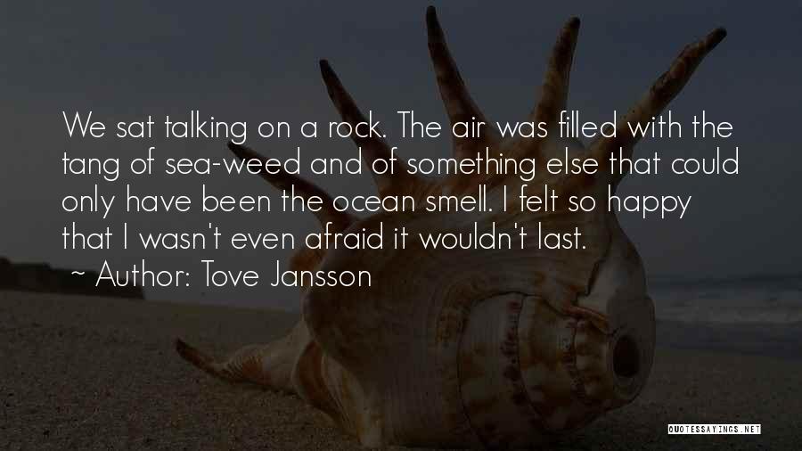 Tove Jansson Quotes: We Sat Talking On A Rock. The Air Was Filled With The Tang Of Sea-weed And Of Something Else That