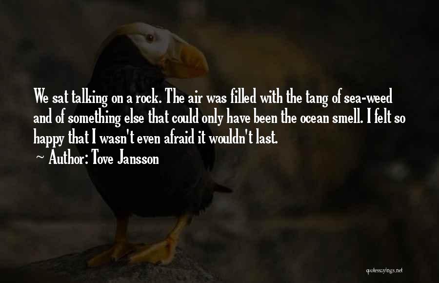 Tove Jansson Quotes: We Sat Talking On A Rock. The Air Was Filled With The Tang Of Sea-weed And Of Something Else That