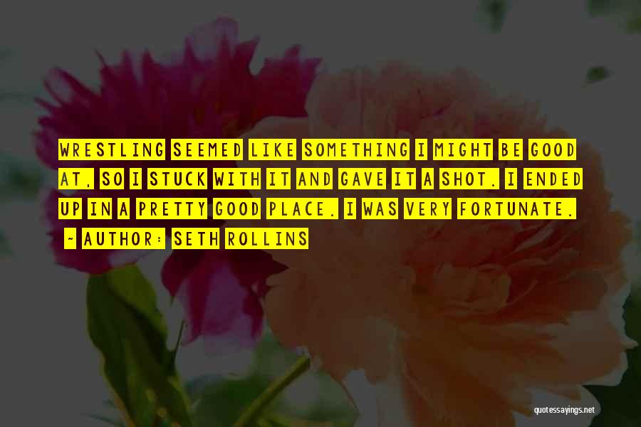 Seth Rollins Quotes: Wrestling Seemed Like Something I Might Be Good At, So I Stuck With It And Gave It A Shot. I