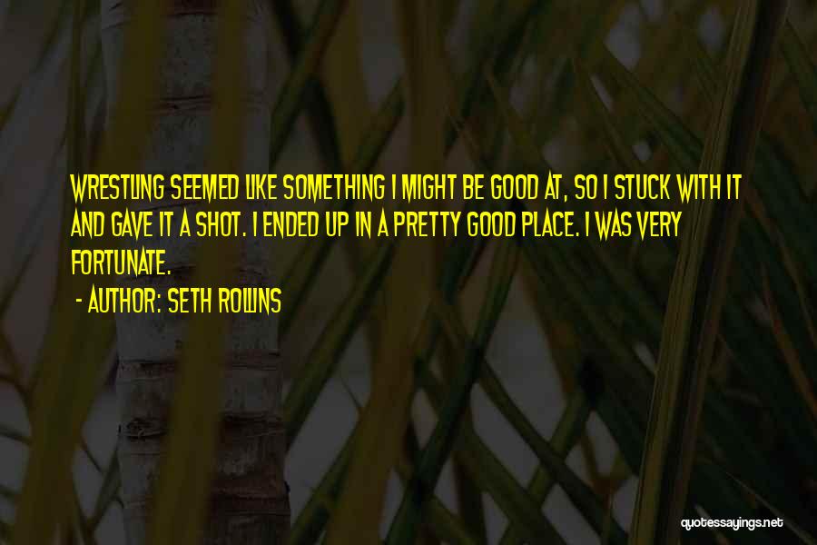 Seth Rollins Quotes: Wrestling Seemed Like Something I Might Be Good At, So I Stuck With It And Gave It A Shot. I