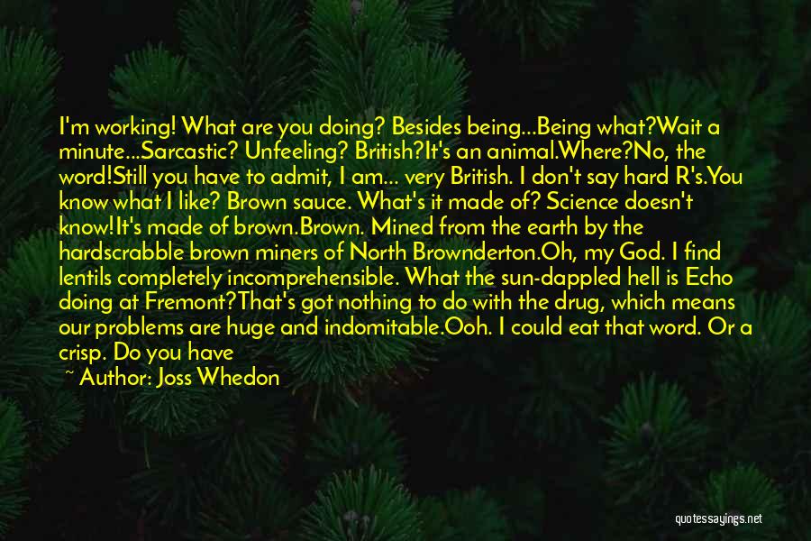 Joss Whedon Quotes: I'm Working! What Are You Doing? Besides Being...being What?wait A Minute...sarcastic? Unfeeling? British?it's An Animal.where?no, The Word!still You Have To