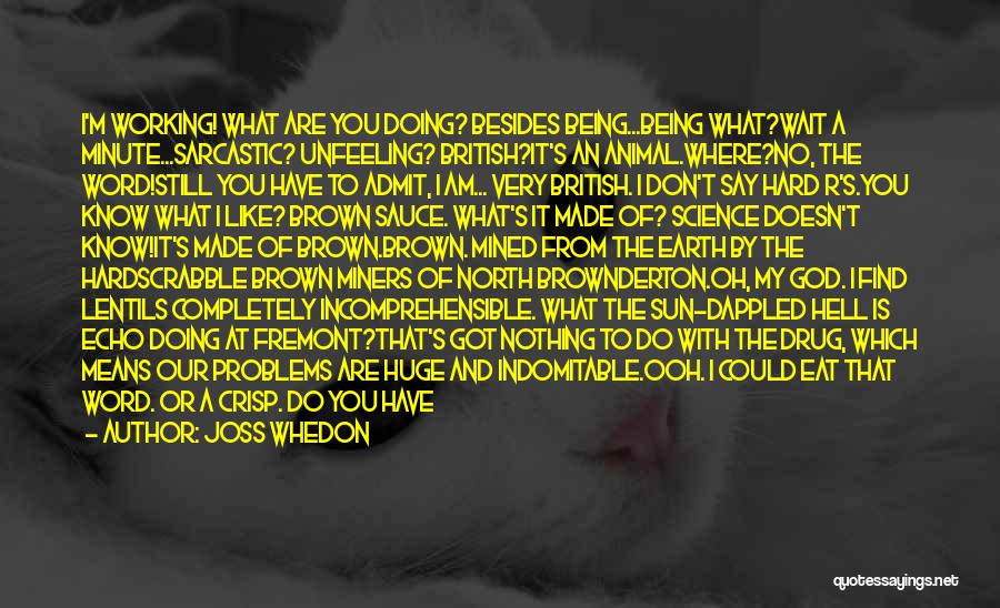 Joss Whedon Quotes: I'm Working! What Are You Doing? Besides Being...being What?wait A Minute...sarcastic? Unfeeling? British?it's An Animal.where?no, The Word!still You Have To