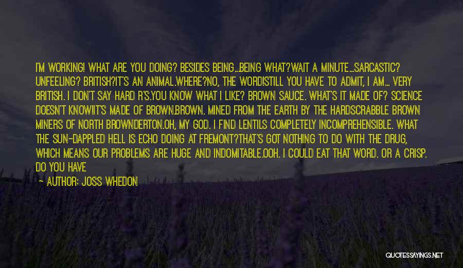 Joss Whedon Quotes: I'm Working! What Are You Doing? Besides Being...being What?wait A Minute...sarcastic? Unfeeling? British?it's An Animal.where?no, The Word!still You Have To