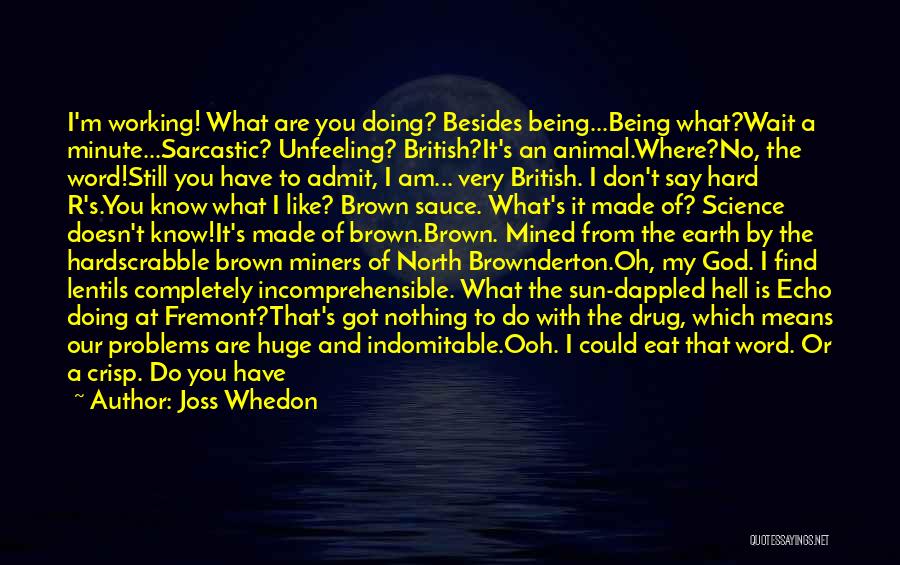 Joss Whedon Quotes: I'm Working! What Are You Doing? Besides Being...being What?wait A Minute...sarcastic? Unfeeling? British?it's An Animal.where?no, The Word!still You Have To