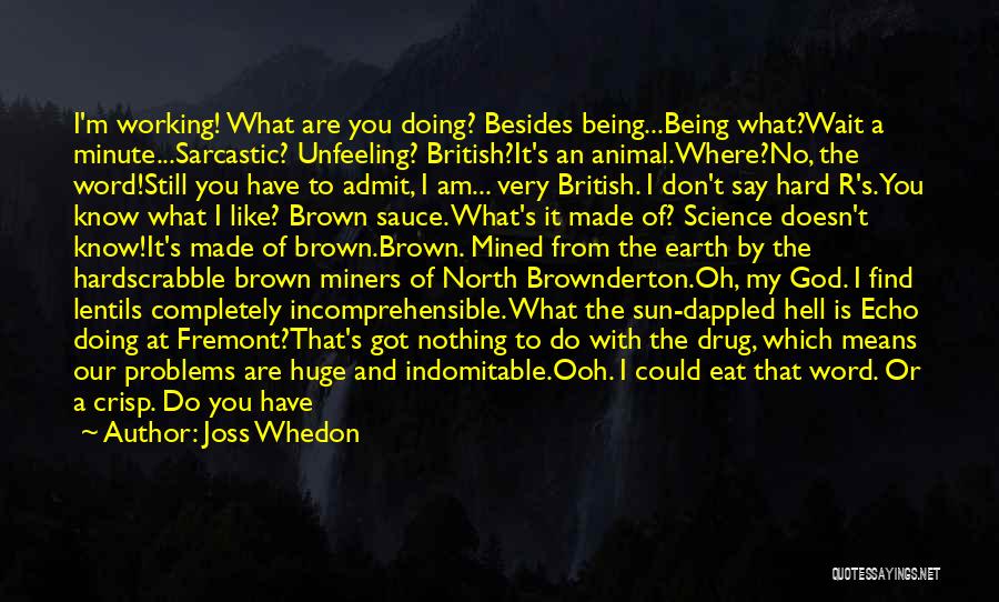 Joss Whedon Quotes: I'm Working! What Are You Doing? Besides Being...being What?wait A Minute...sarcastic? Unfeeling? British?it's An Animal.where?no, The Word!still You Have To