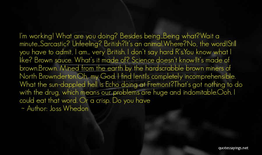 Joss Whedon Quotes: I'm Working! What Are You Doing? Besides Being...being What?wait A Minute...sarcastic? Unfeeling? British?it's An Animal.where?no, The Word!still You Have To