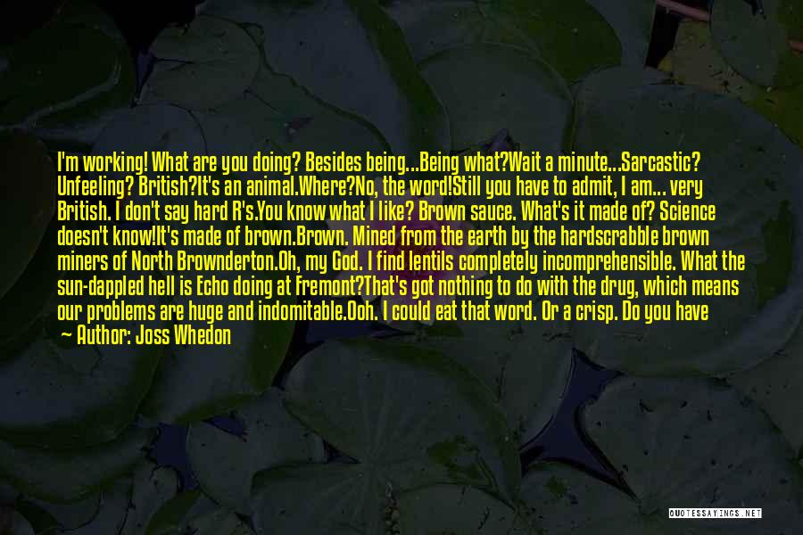 Joss Whedon Quotes: I'm Working! What Are You Doing? Besides Being...being What?wait A Minute...sarcastic? Unfeeling? British?it's An Animal.where?no, The Word!still You Have To