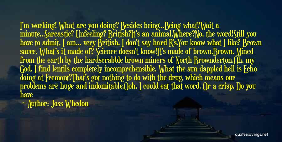 Joss Whedon Quotes: I'm Working! What Are You Doing? Besides Being...being What?wait A Minute...sarcastic? Unfeeling? British?it's An Animal.where?no, The Word!still You Have To