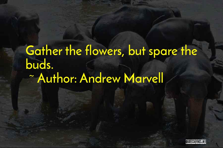 Andrew Marvell Quotes: Gather The Flowers, But Spare The Buds.