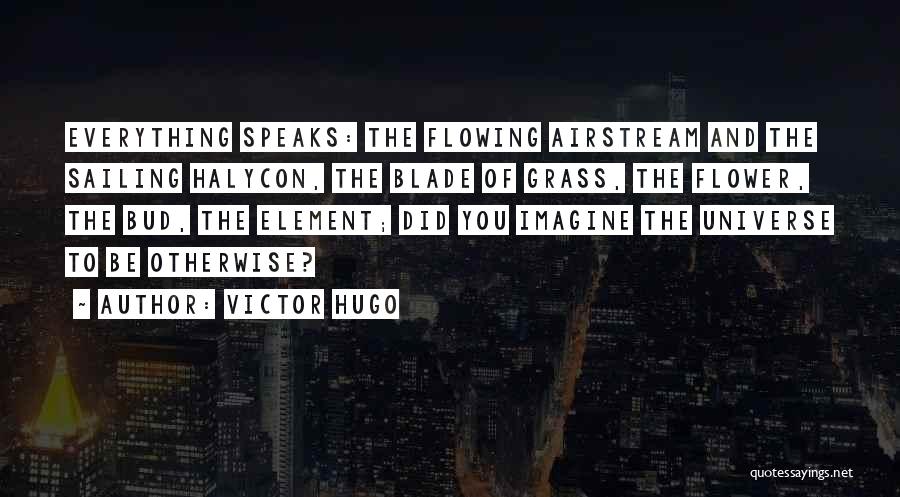 Victor Hugo Quotes: Everything Speaks: The Flowing Airstream And The Sailing Halycon, The Blade Of Grass, The Flower, The Bud, The Element; Did