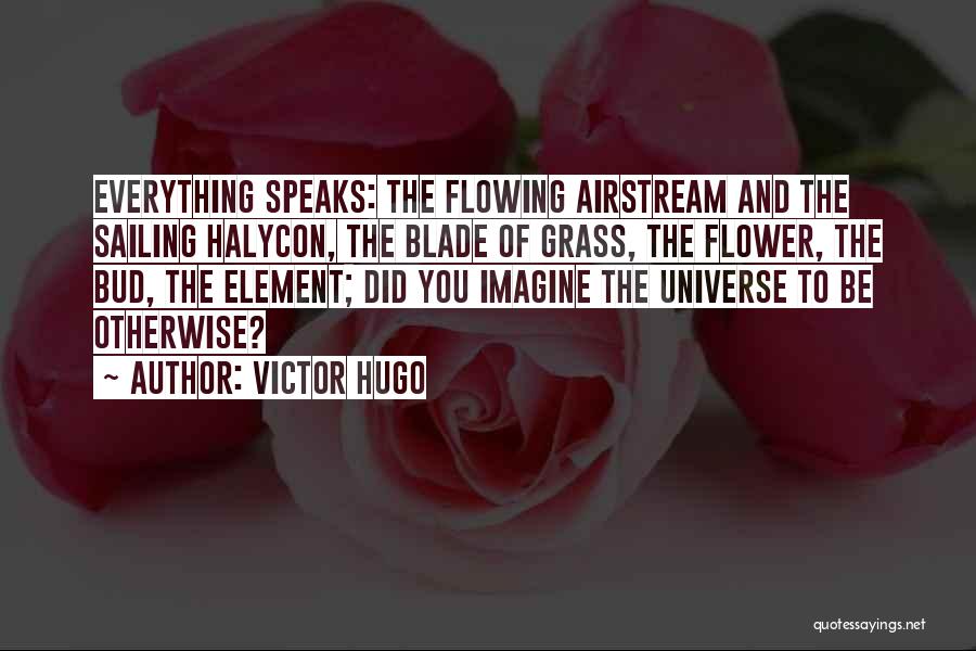 Victor Hugo Quotes: Everything Speaks: The Flowing Airstream And The Sailing Halycon, The Blade Of Grass, The Flower, The Bud, The Element; Did