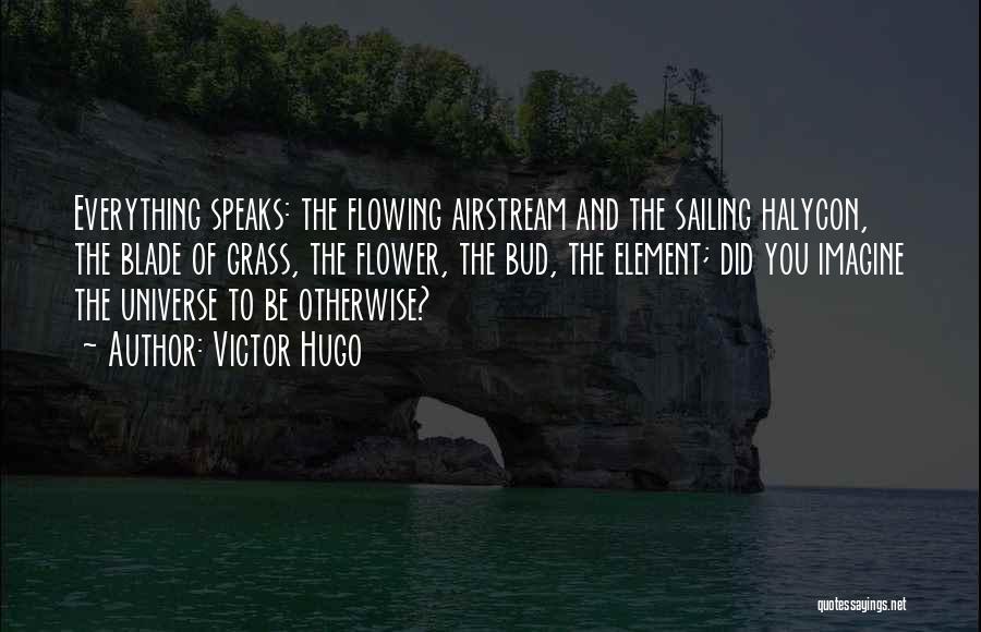 Victor Hugo Quotes: Everything Speaks: The Flowing Airstream And The Sailing Halycon, The Blade Of Grass, The Flower, The Bud, The Element; Did