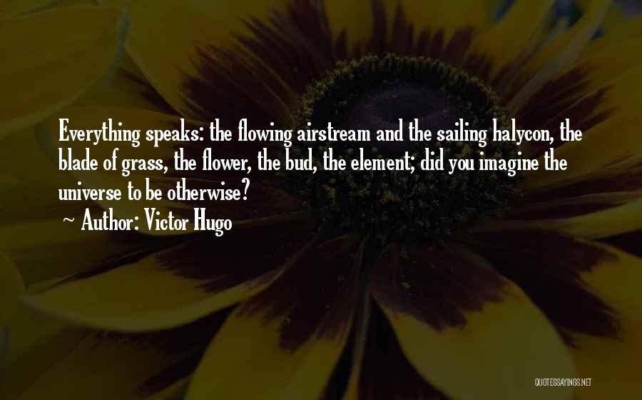 Victor Hugo Quotes: Everything Speaks: The Flowing Airstream And The Sailing Halycon, The Blade Of Grass, The Flower, The Bud, The Element; Did