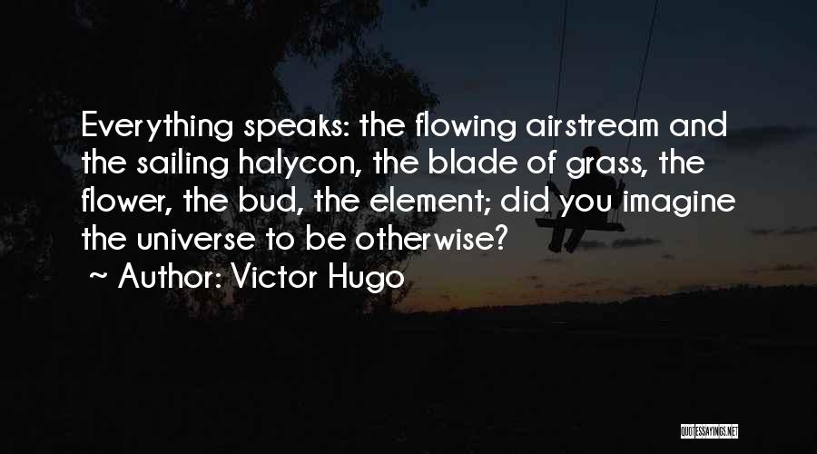 Victor Hugo Quotes: Everything Speaks: The Flowing Airstream And The Sailing Halycon, The Blade Of Grass, The Flower, The Bud, The Element; Did