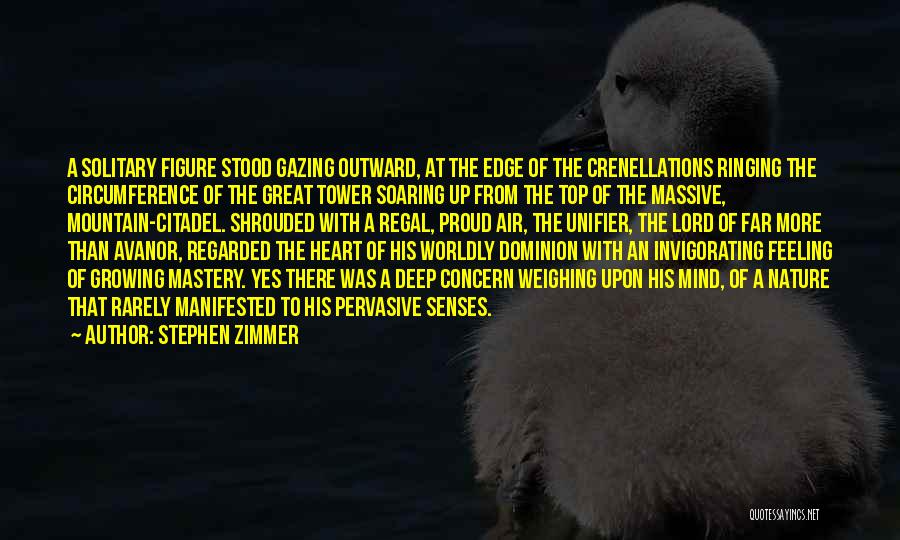 Stephen Zimmer Quotes: A Solitary Figure Stood Gazing Outward, At The Edge Of The Crenellations Ringing The Circumference Of The Great Tower Soaring