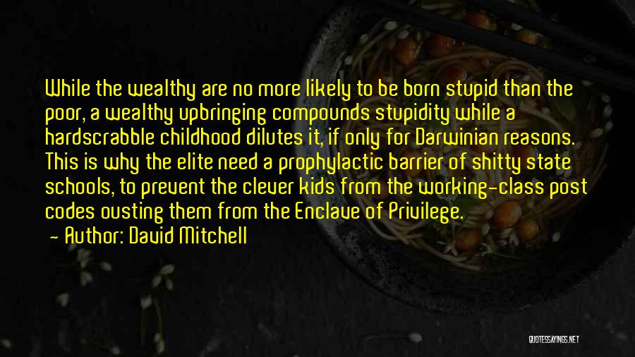 David Mitchell Quotes: While The Wealthy Are No More Likely To Be Born Stupid Than The Poor, A Wealthy Upbringing Compounds Stupidity While