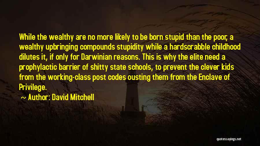 David Mitchell Quotes: While The Wealthy Are No More Likely To Be Born Stupid Than The Poor, A Wealthy Upbringing Compounds Stupidity While