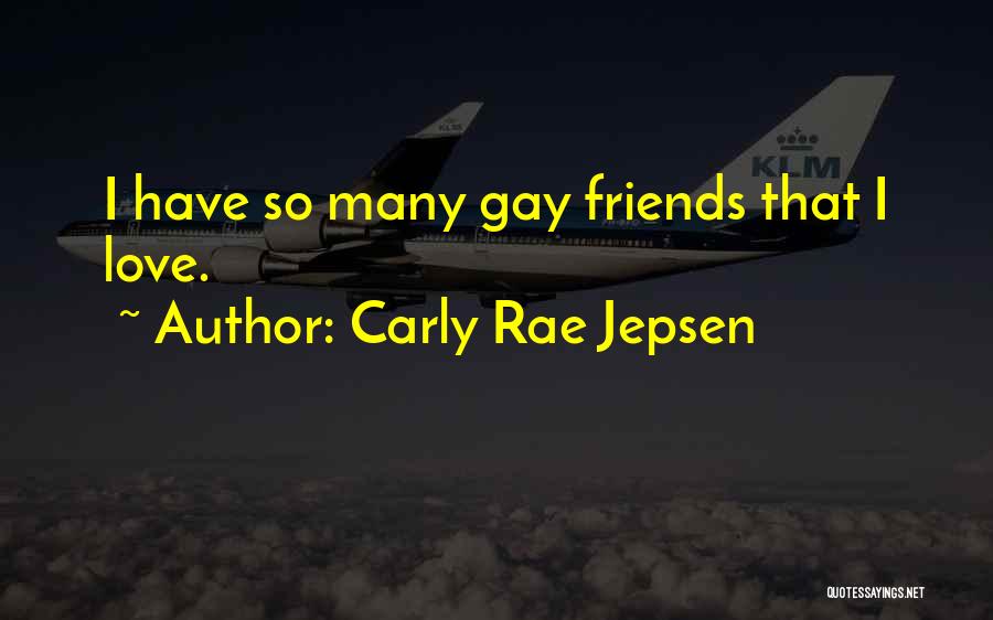 Carly Rae Jepsen Quotes: I Have So Many Gay Friends That I Love.