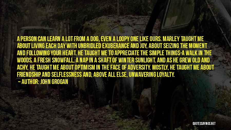 John Grogan Quotes: A Person Can Learn A Lot From A Dog, Even A Loopy One Like Ours. Marley Taught Me About Living