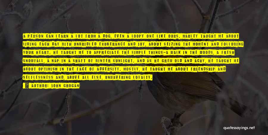 John Grogan Quotes: A Person Can Learn A Lot From A Dog, Even A Loopy One Like Ours. Marley Taught Me About Living
