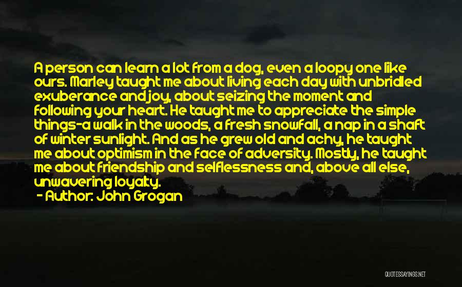 John Grogan Quotes: A Person Can Learn A Lot From A Dog, Even A Loopy One Like Ours. Marley Taught Me About Living