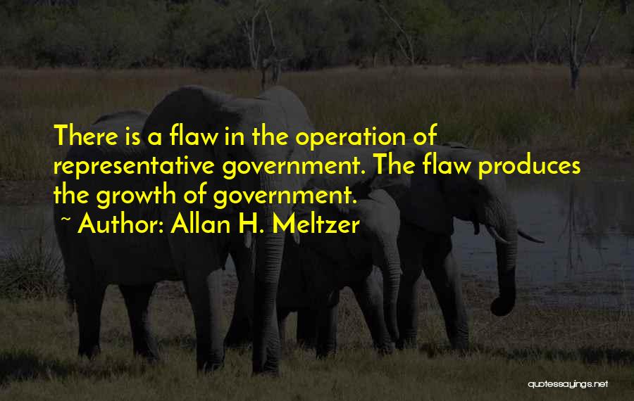 Allan H. Meltzer Quotes: There Is A Flaw In The Operation Of Representative Government. The Flaw Produces The Growth Of Government.