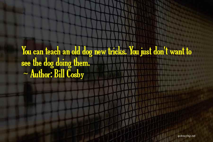 Bill Cosby Quotes: You Can Teach An Old Dog New Tricks. You Just Don't Want To See The Dog Doing Them.