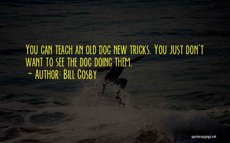 Bill Cosby Quotes: You Can Teach An Old Dog New Tricks. You Just Don't Want To See The Dog Doing Them.