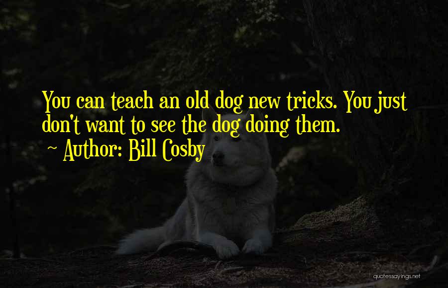 Bill Cosby Quotes: You Can Teach An Old Dog New Tricks. You Just Don't Want To See The Dog Doing Them.