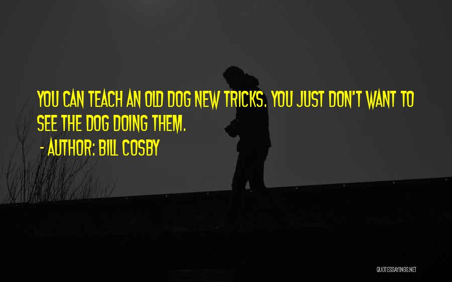 Bill Cosby Quotes: You Can Teach An Old Dog New Tricks. You Just Don't Want To See The Dog Doing Them.