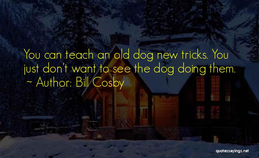 Bill Cosby Quotes: You Can Teach An Old Dog New Tricks. You Just Don't Want To See The Dog Doing Them.