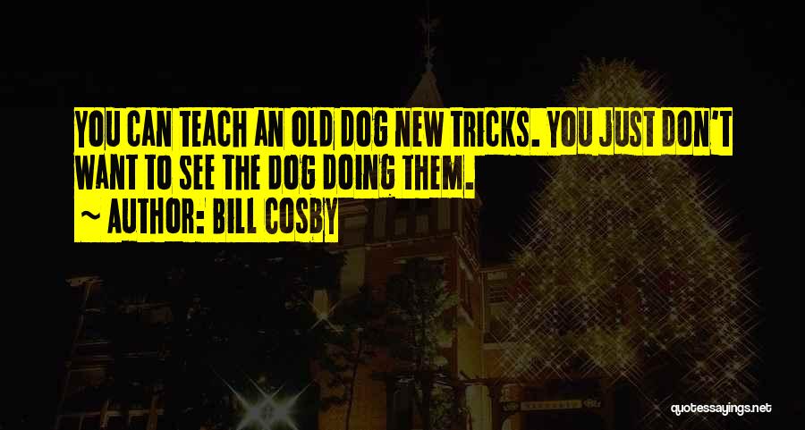 Bill Cosby Quotes: You Can Teach An Old Dog New Tricks. You Just Don't Want To See The Dog Doing Them.