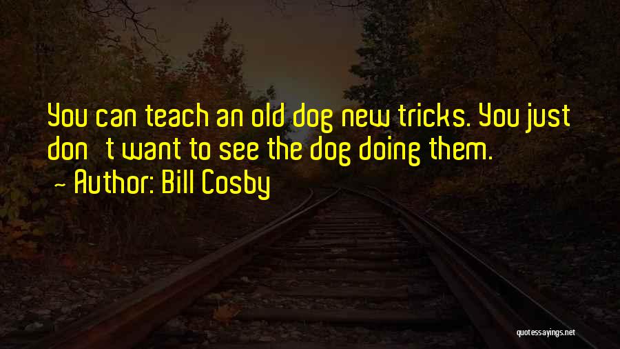 Bill Cosby Quotes: You Can Teach An Old Dog New Tricks. You Just Don't Want To See The Dog Doing Them.