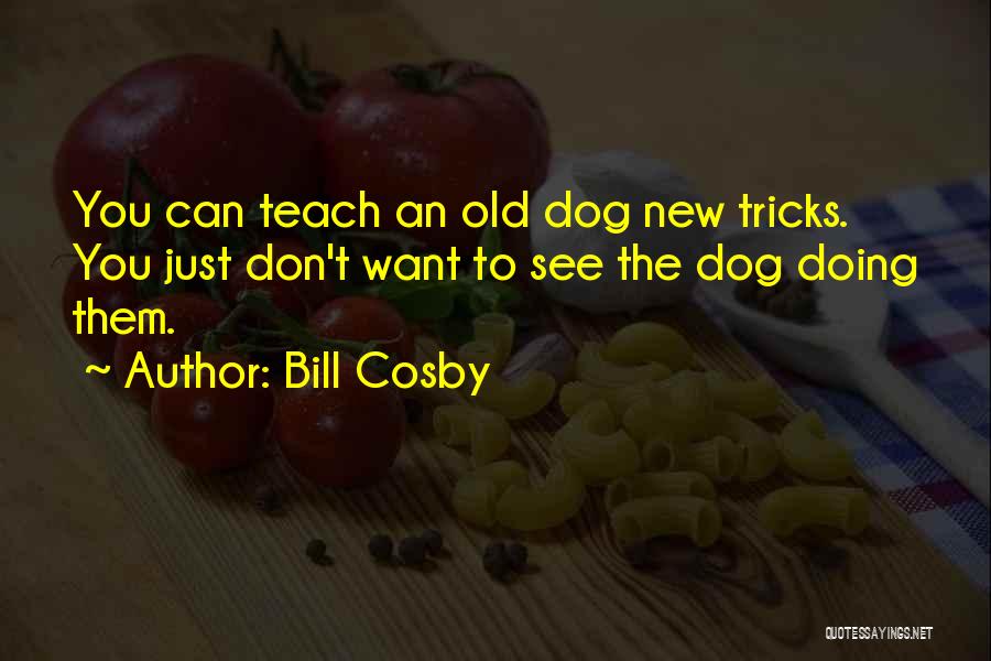 Bill Cosby Quotes: You Can Teach An Old Dog New Tricks. You Just Don't Want To See The Dog Doing Them.