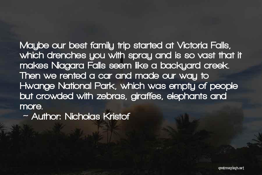 Nicholas Kristof Quotes: Maybe Our Best Family Trip Started At Victoria Falls, Which Drenches You With Spray And Is So Vast That It