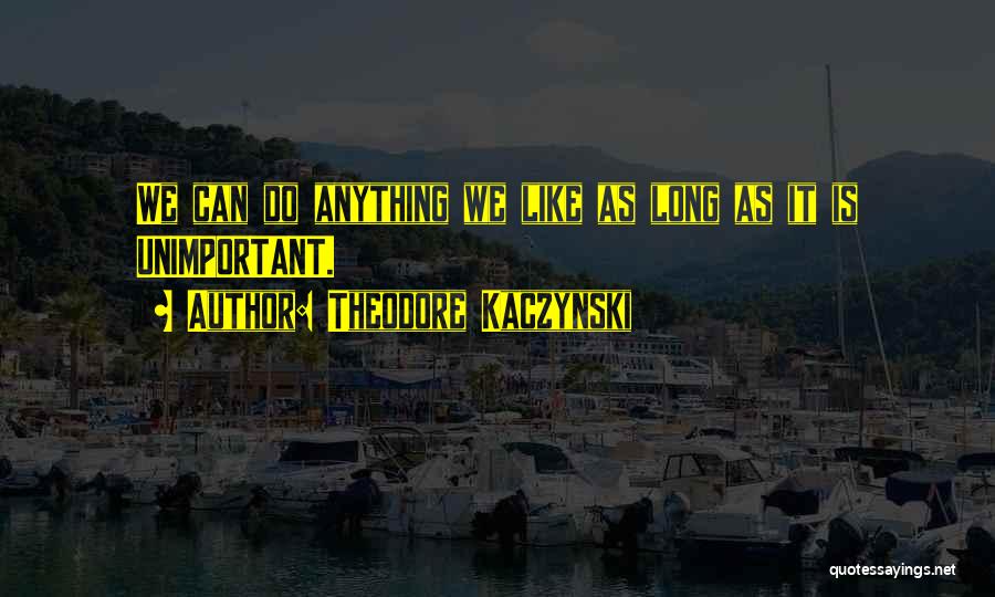 Theodore Kaczynski Quotes: We Can Do Anything We Like As Long As It Is Unimportant.