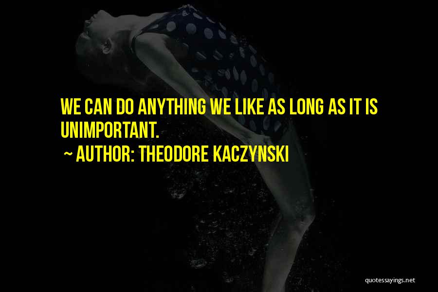 Theodore Kaczynski Quotes: We Can Do Anything We Like As Long As It Is Unimportant.