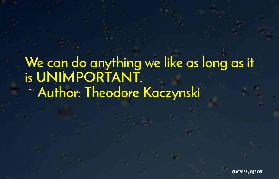 Theodore Kaczynski Quotes: We Can Do Anything We Like As Long As It Is Unimportant.