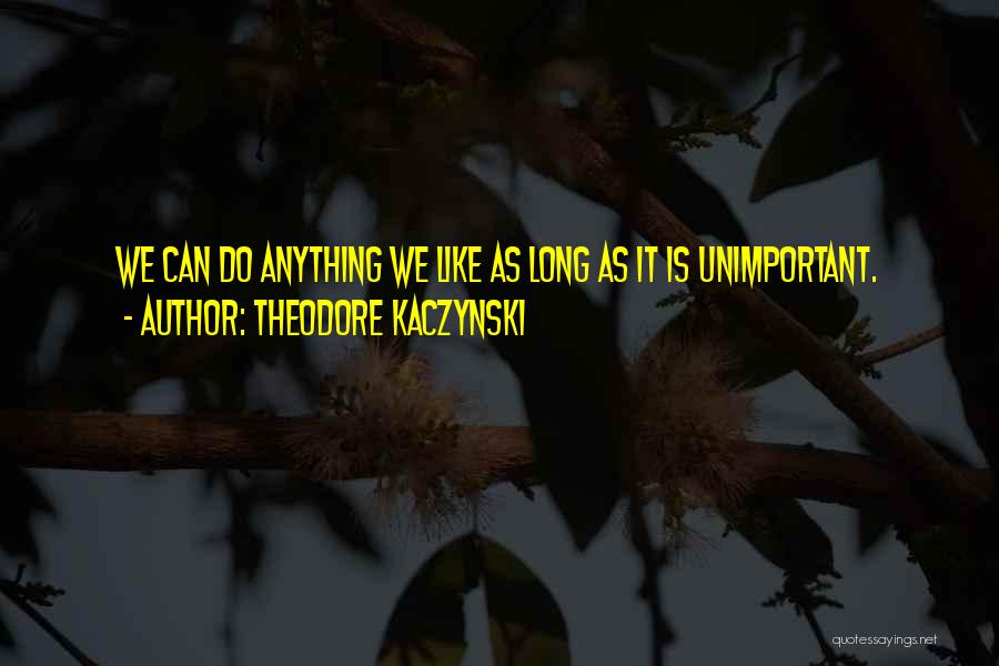 Theodore Kaczynski Quotes: We Can Do Anything We Like As Long As It Is Unimportant.