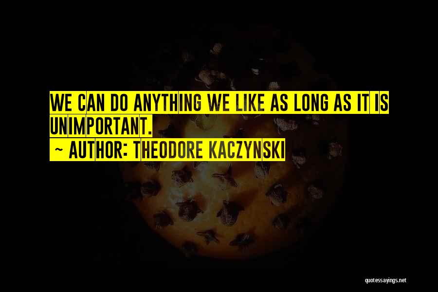 Theodore Kaczynski Quotes: We Can Do Anything We Like As Long As It Is Unimportant.