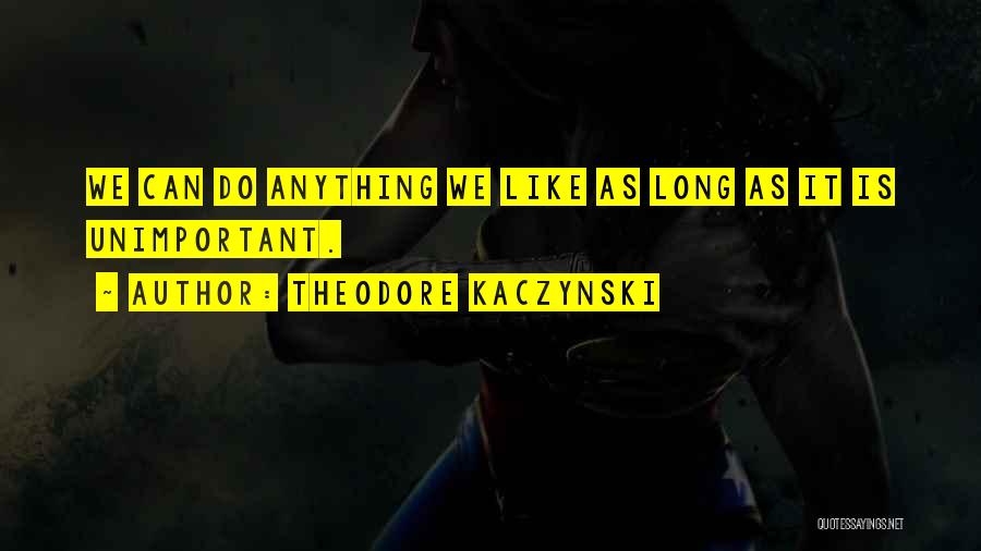 Theodore Kaczynski Quotes: We Can Do Anything We Like As Long As It Is Unimportant.