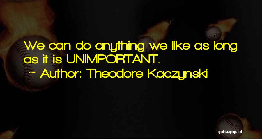 Theodore Kaczynski Quotes: We Can Do Anything We Like As Long As It Is Unimportant.